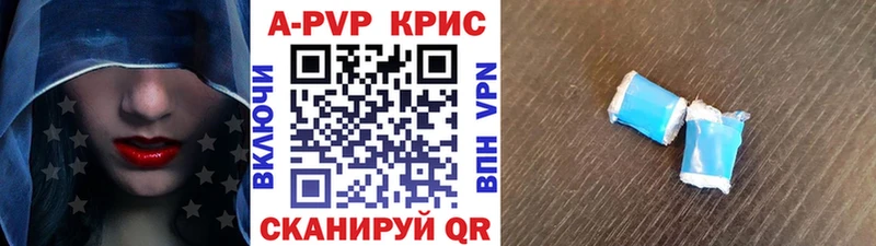 Купить где  Кадников  А ПВП СК КРИС 