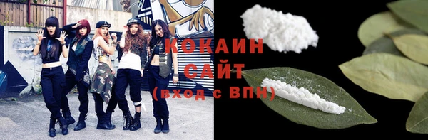 mix Ельня