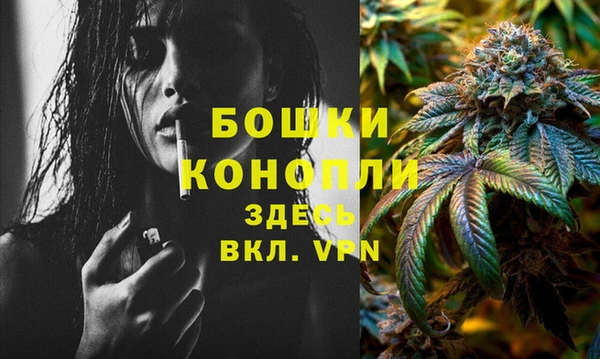 mix Ельня