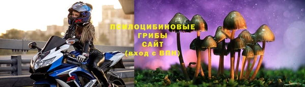 МДПВ Елабуга