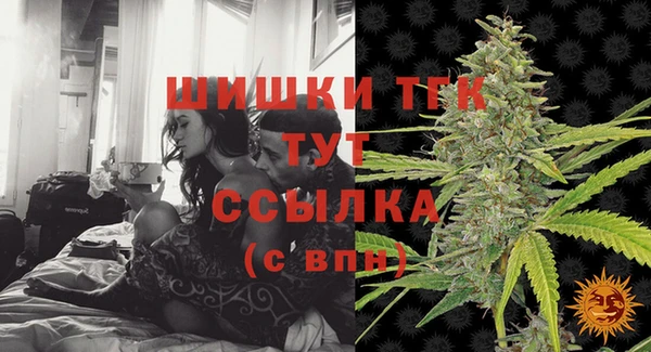 МДПВ Елабуга