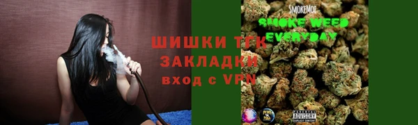 mix Ельня