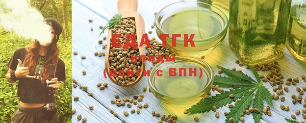 МДПВ Елабуга