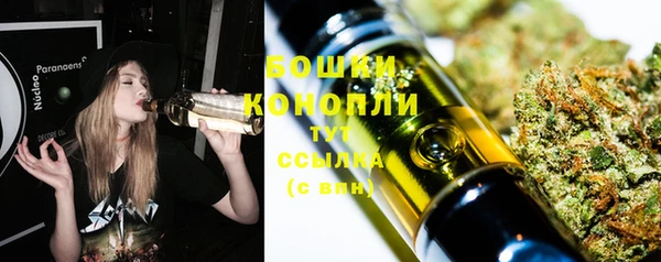 МДПВ Елабуга